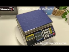 30 کیلوگرم 1 گرم مقیاس وزن دیجیتال با صفحه نمایش LCD با نور پس زمینه