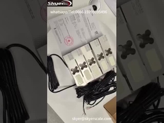 لودسل توزین