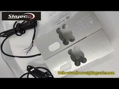 لودسل توزین