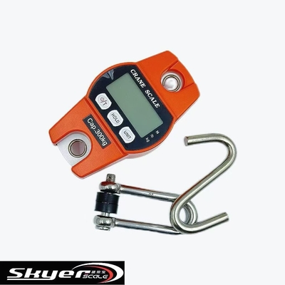 کیفیت  300kg Digital Crane Scale with LED LCD Display کارخانه