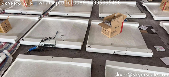 بیمارستان پزشکی اختصاص داده شده 800x800mm 250kg مقیاس صندلی چرخدار