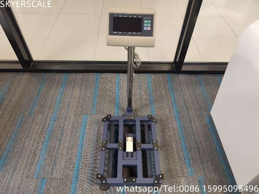 فولاد کربن دیجیتال 45x60cm 300kg مقیاس پلتفرم مقیاس بنچ با شاخص وزن T7 + E