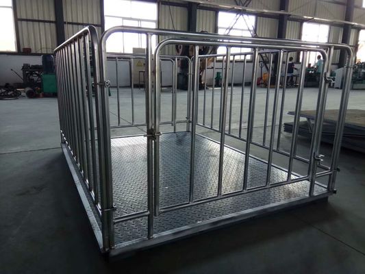 مقیاس دامپروری فولاد کربنی 1t 2t 3t ، ترازو برای گاو گوسفند خوک با حصار گالوانیزه گرم