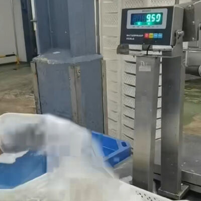 30x40cm 304 استیل ضد آب بنچ ترازو 100kg